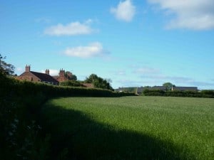 roofs_across_fields