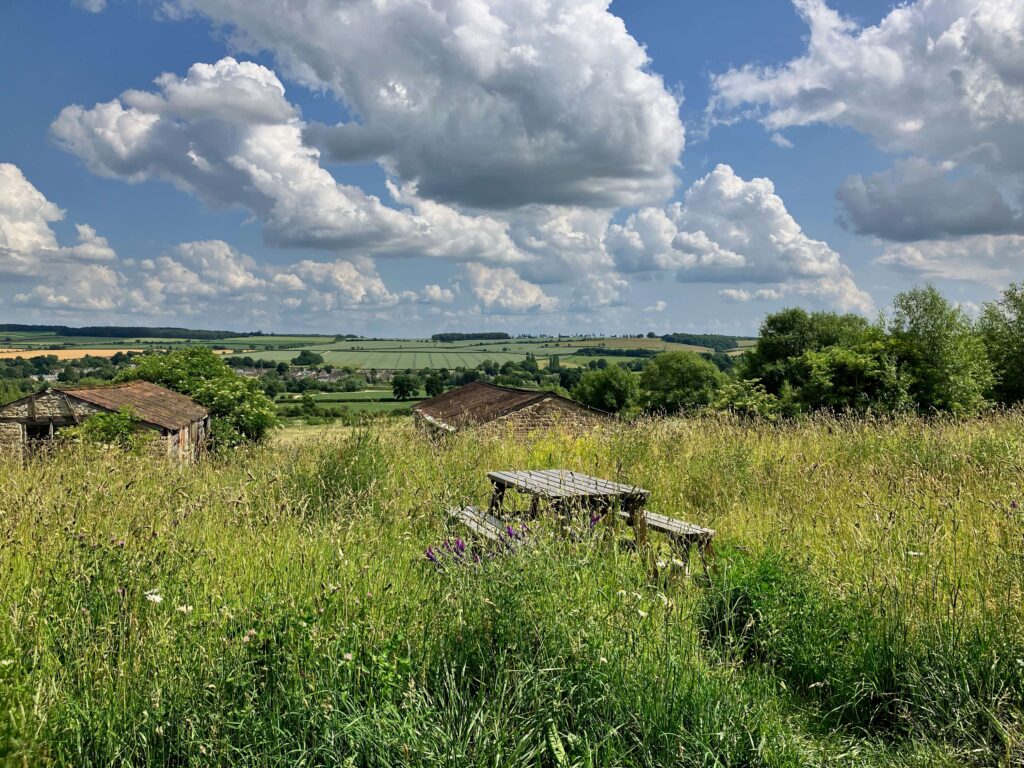 BNG meadow at FarmED rolling hills